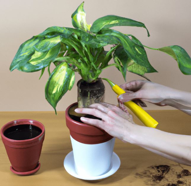 Natural fertilizer